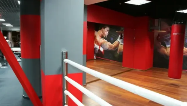 Спортивный комплекс или мини-зал: что подойдёт вам